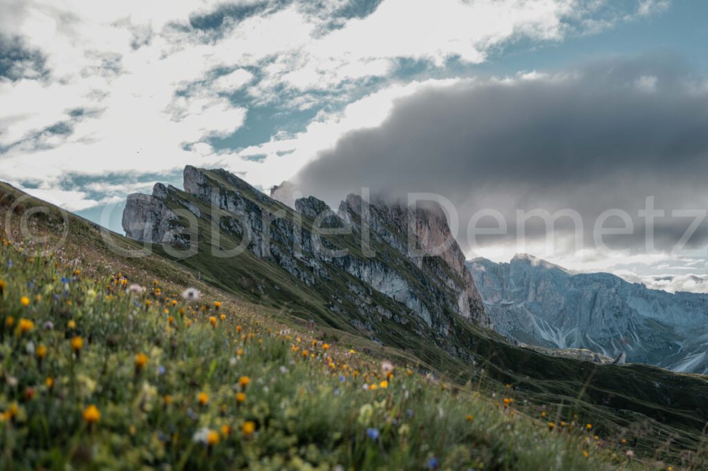 Frühlingsstimmung auf Seceda