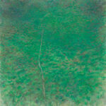 Junger Baum