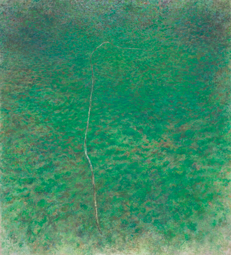 Junger Baum