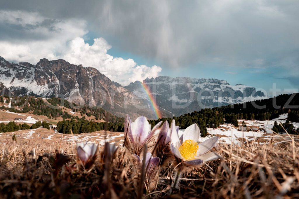 Regenbogen auf Seceda