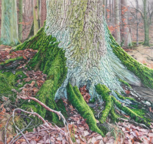 <span class="notranslate" translate="no">Offroad III</span>