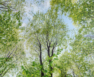 <span class="notranslate" translate="no">Watch them grow</span>