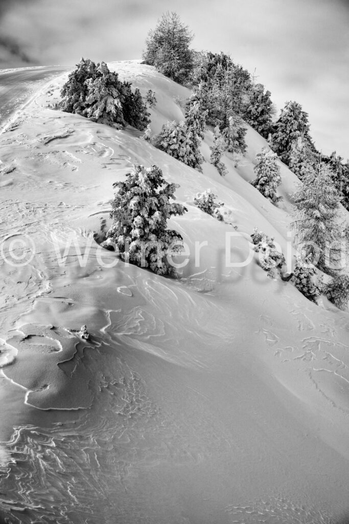 Bustac