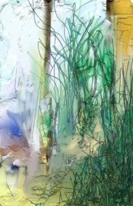 Andreas Pohle